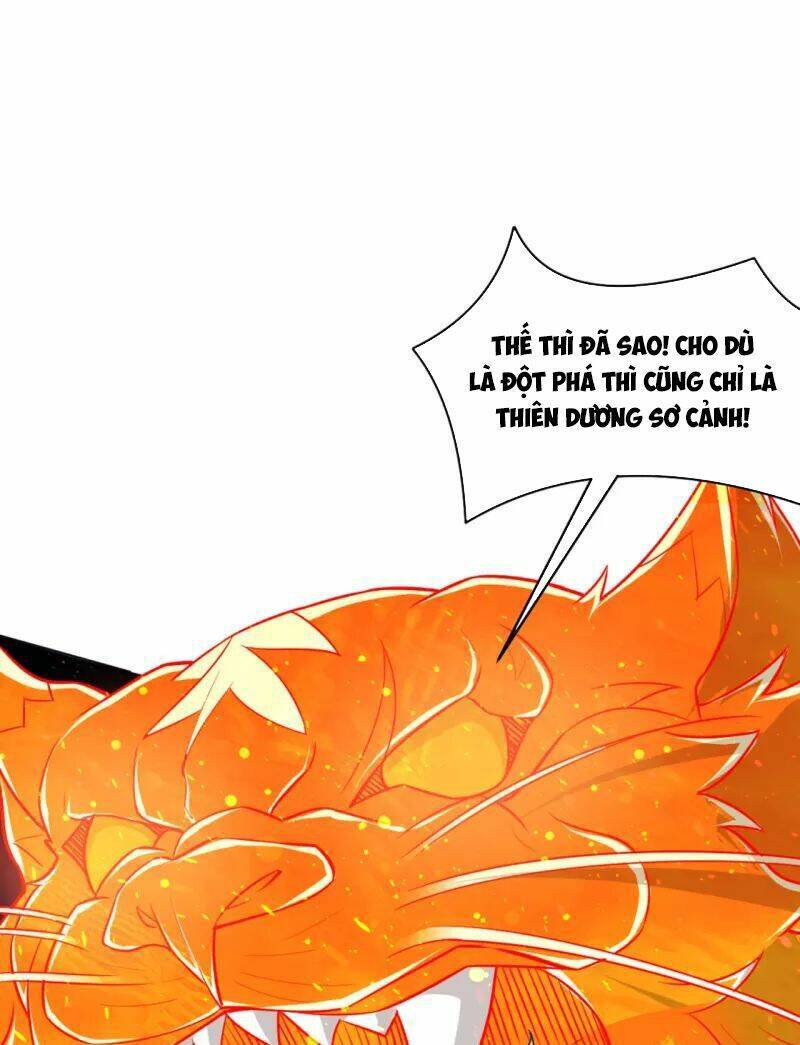 Nhất đẳng gia đinh