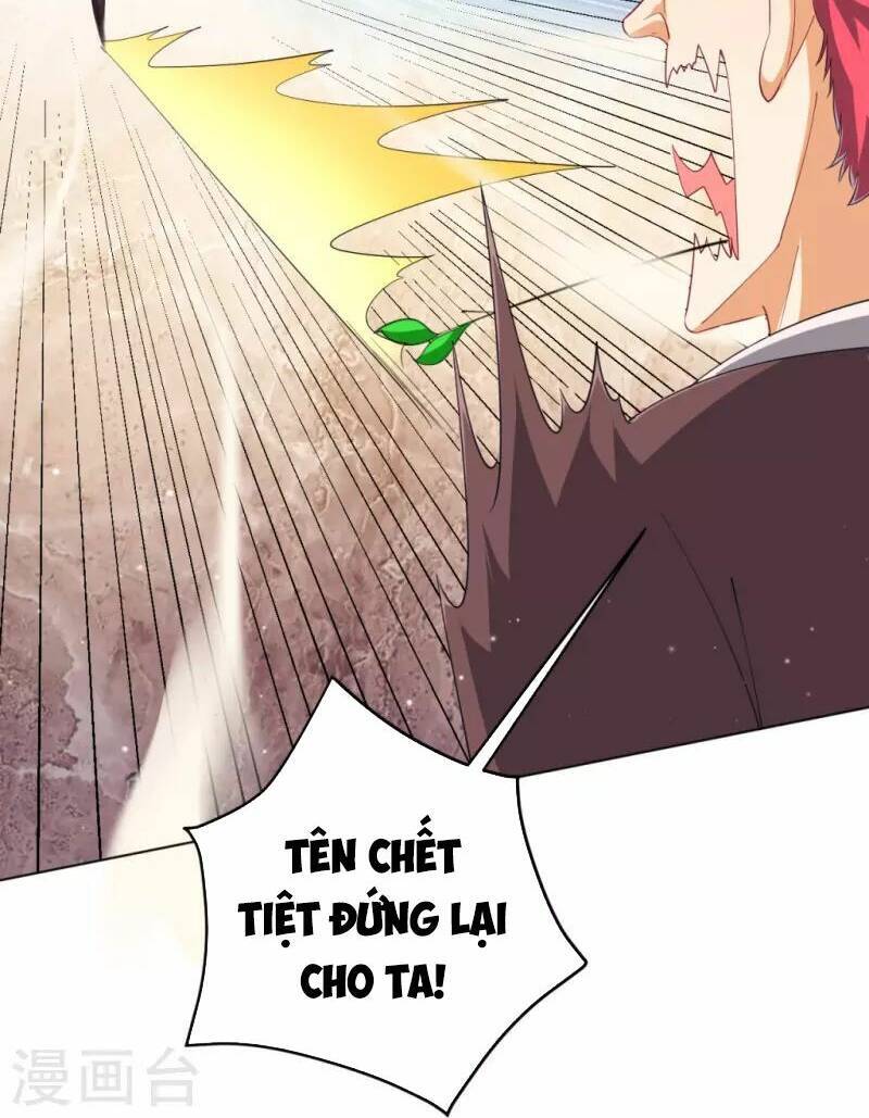 Nhất đẳng gia đinh