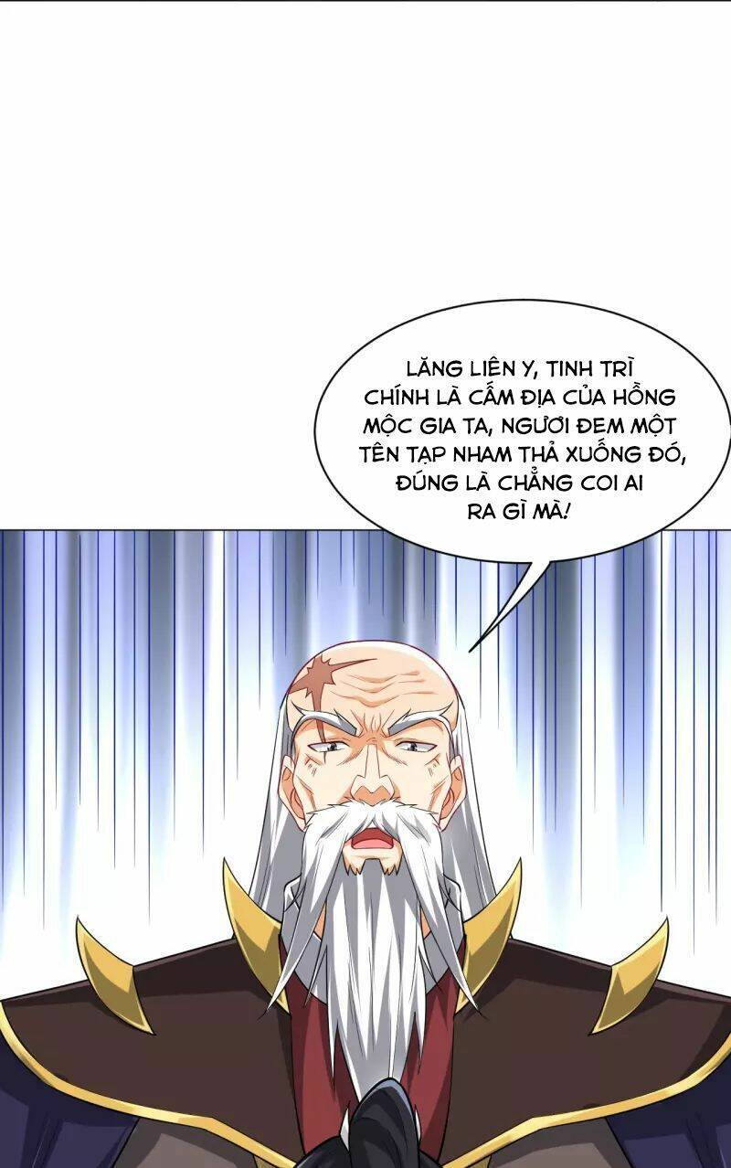 Nhất đẳng gia đinh