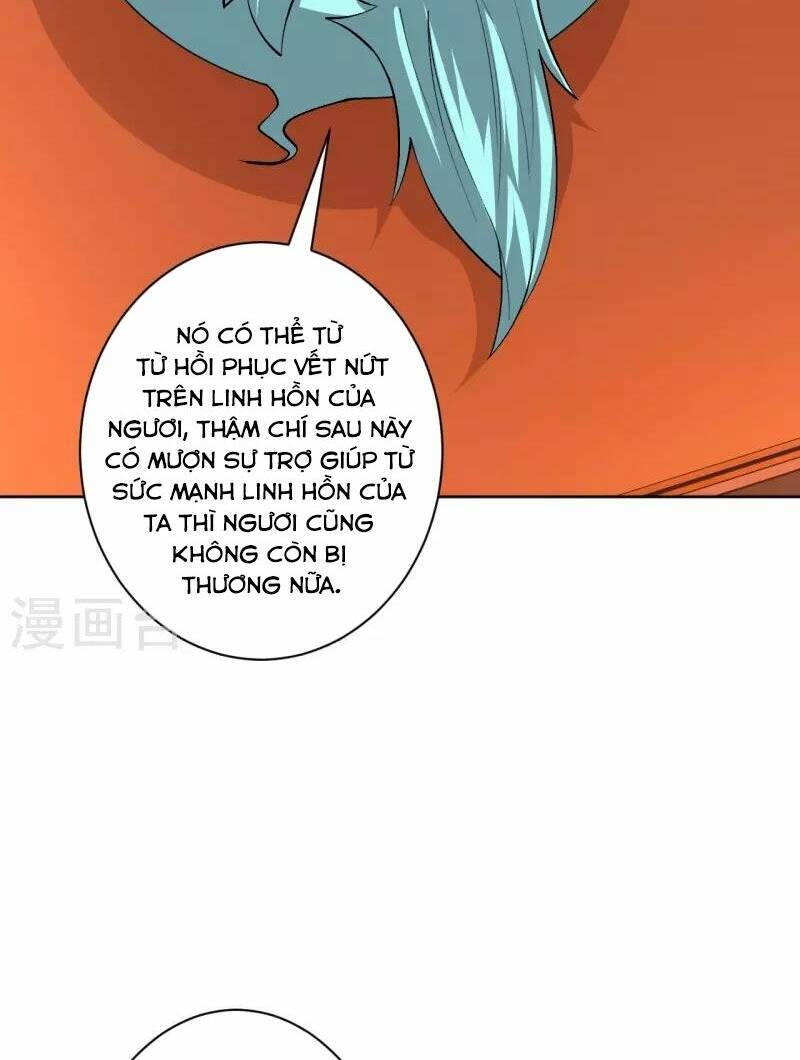 Nhất đẳng gia đinh