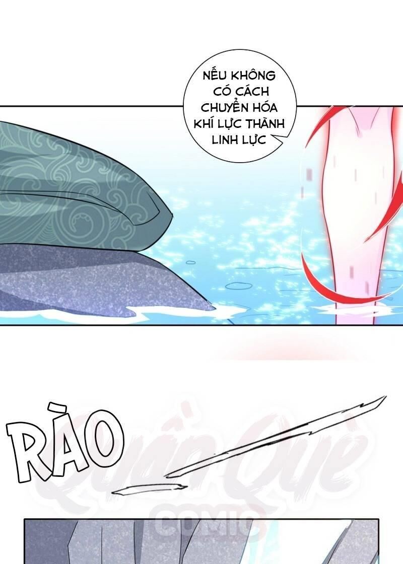 Nhất đẳng gia đinh