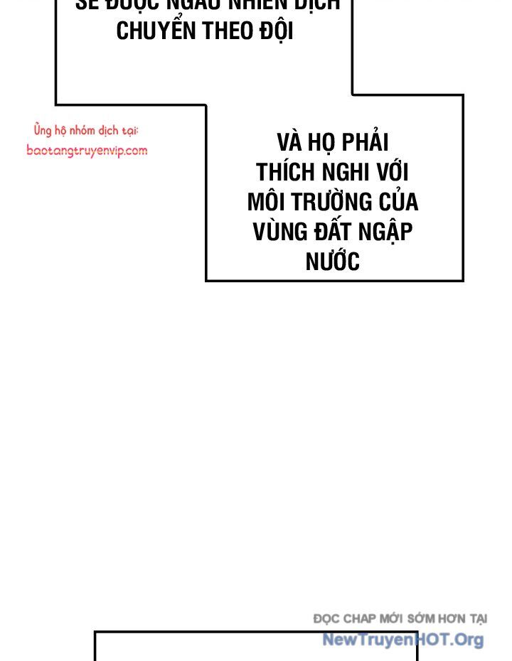 Thiết Huyết Kiếm Sĩ Hồi Quy
