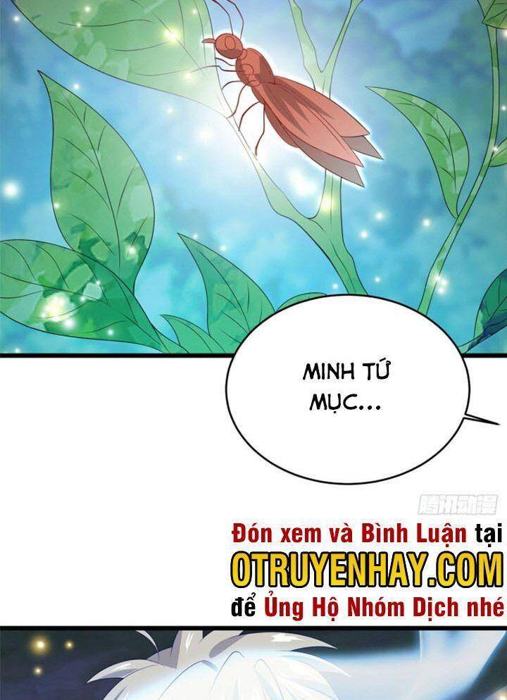 Chân Võ Thế Giới
