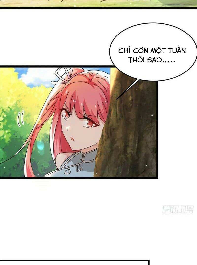 Chân Võ Thế Giới