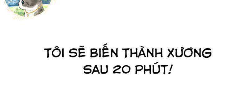 Chiền thần tự sát hồi quy