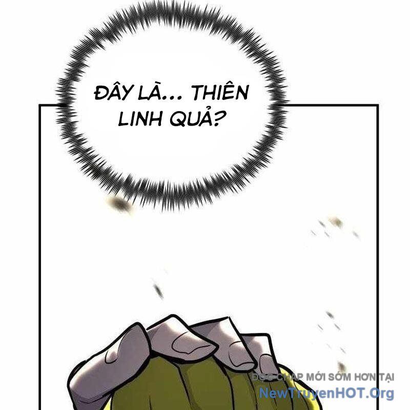 Bản chất của chuyển sinh