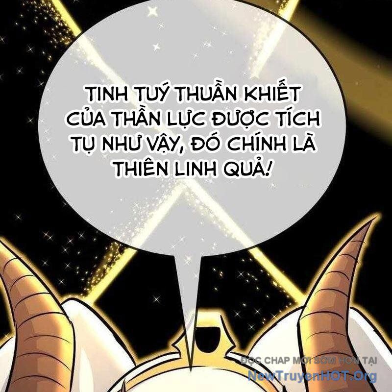 Bản chất của chuyển sinh