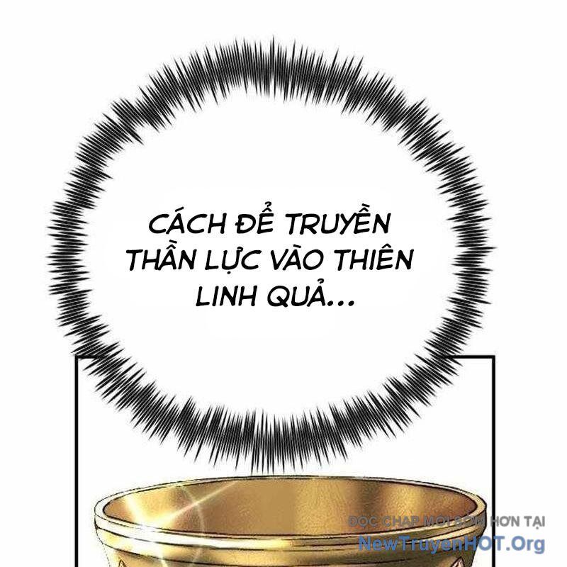 Bản chất của chuyển sinh