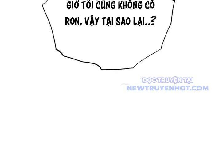 Hồi quy giả về hưu