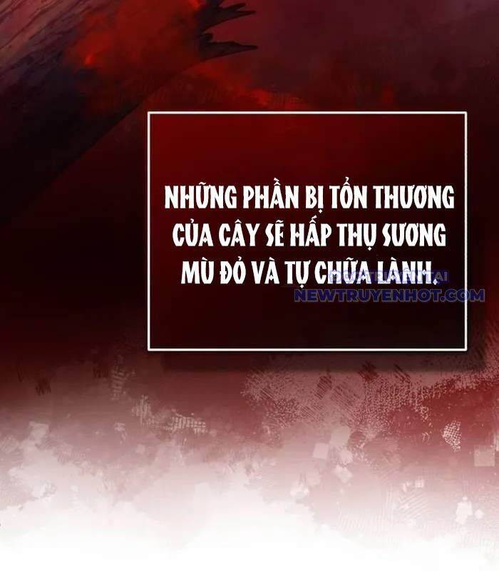 Hồi quy giả về hưu