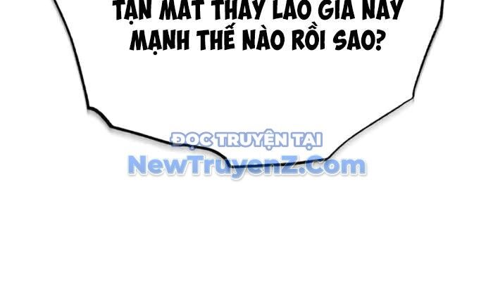 Hồi quy giả về hưu