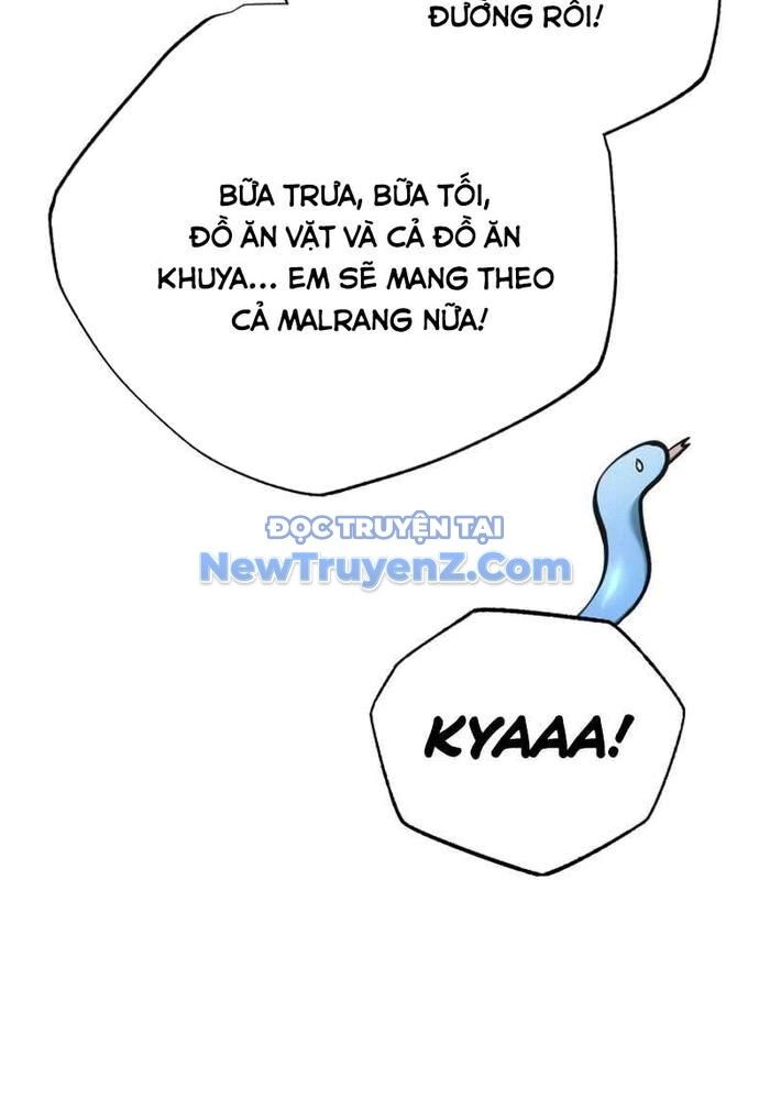 Hồi quy giả về hưu