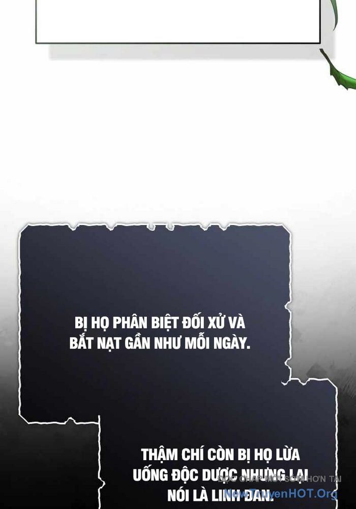 Hồi quy giả về hưu
