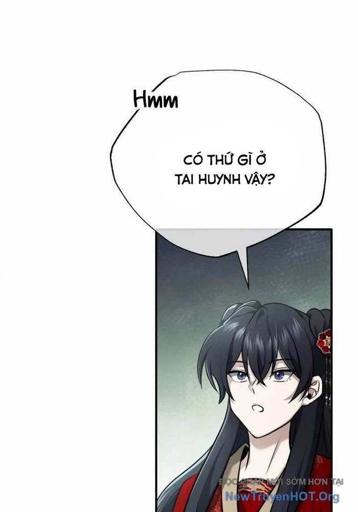 Hồi quy giả về hưu