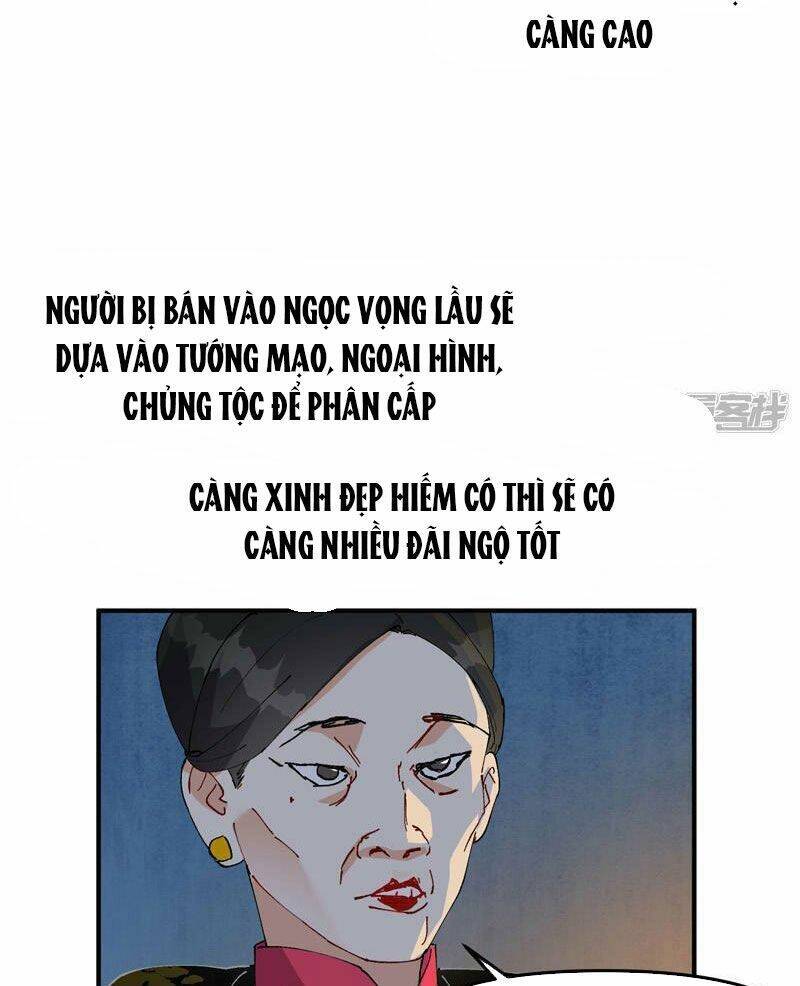 Tối cường võ hồn hệ thống