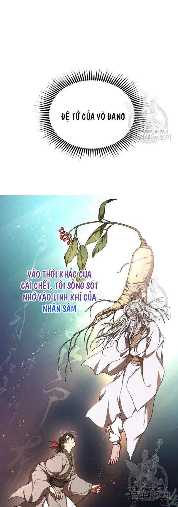 Võ đang kỳ hiệp