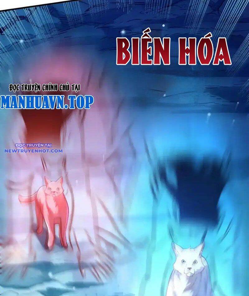 Bói toán mà thôi, cửu vĩ yêu đế sao lại thành nương tử ta?!