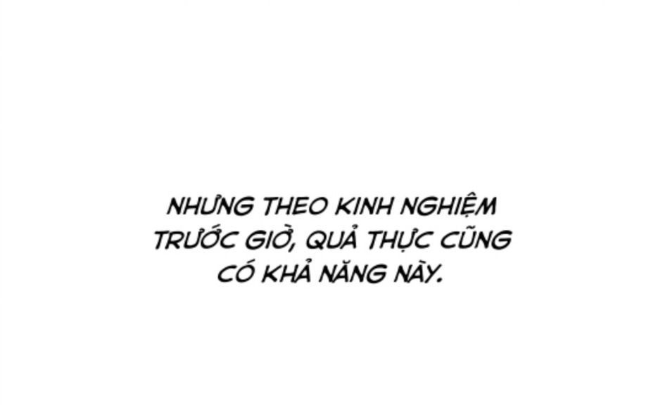 Thánh nữ, xin hãy dừng ngay những trò quái đản của cô đi!!