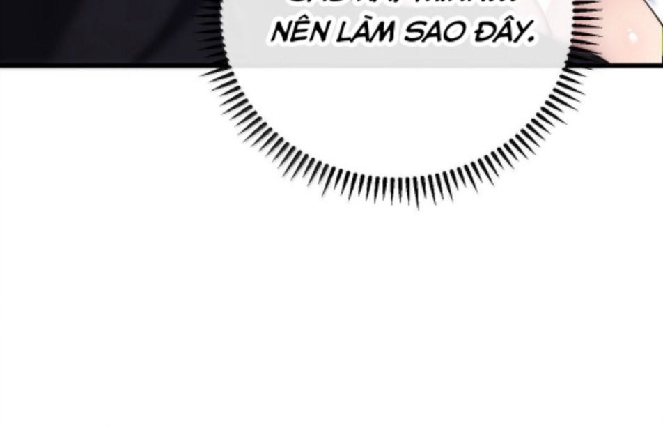 Thánh nữ, xin hãy dừng ngay những trò quái đản của cô đi!!