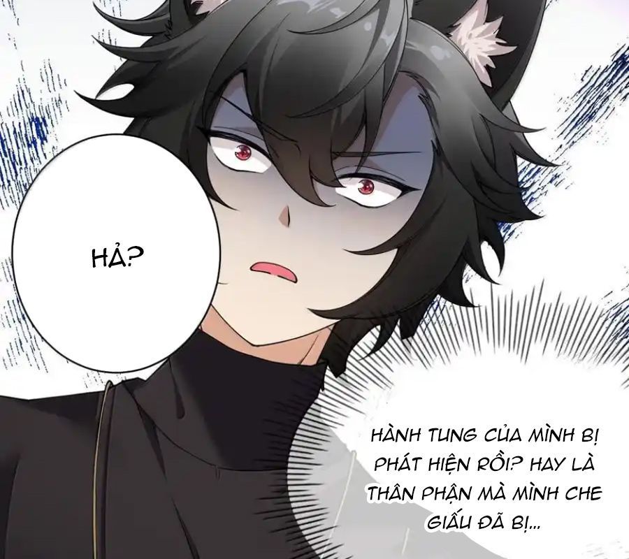 Thánh nữ, xin hãy dừng ngay những trò quái đản của cô đi!!
