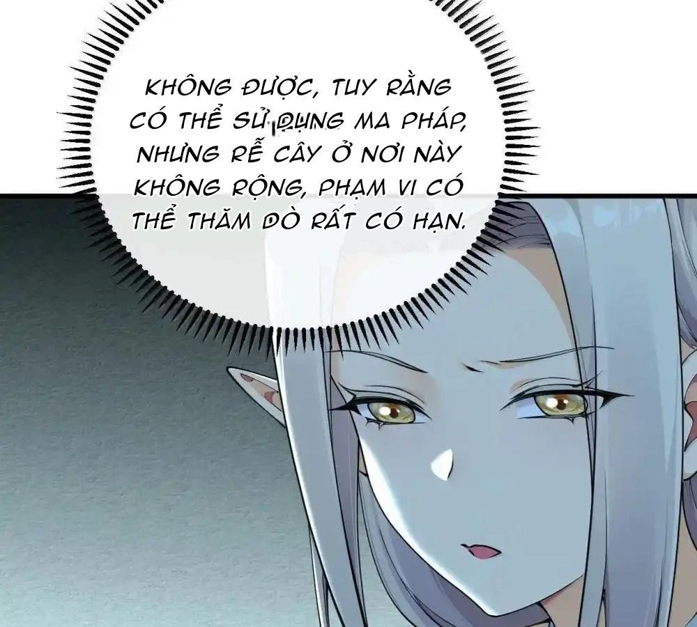 Thánh nữ, xin hãy dừng ngay những trò quái đản của cô đi!!