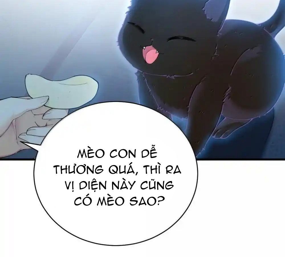 Thánh nữ, xin hãy dừng ngay những trò quái đản của cô đi!!