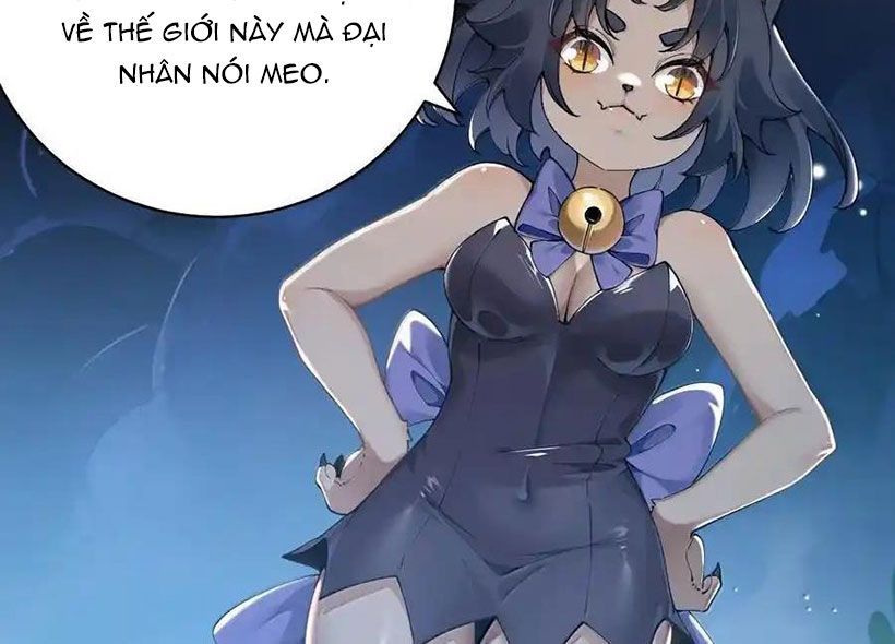 Thánh nữ, xin hãy dừng ngay những trò quái đản của cô đi!!