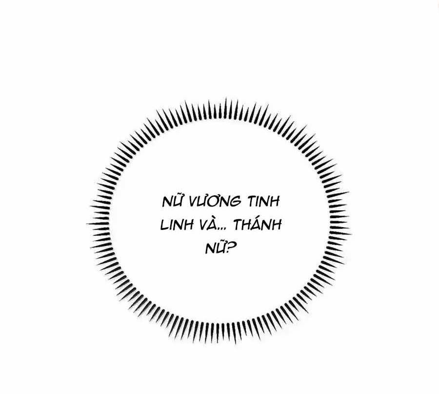 Thánh nữ, xin hãy dừng ngay những trò quái đản của cô đi!!