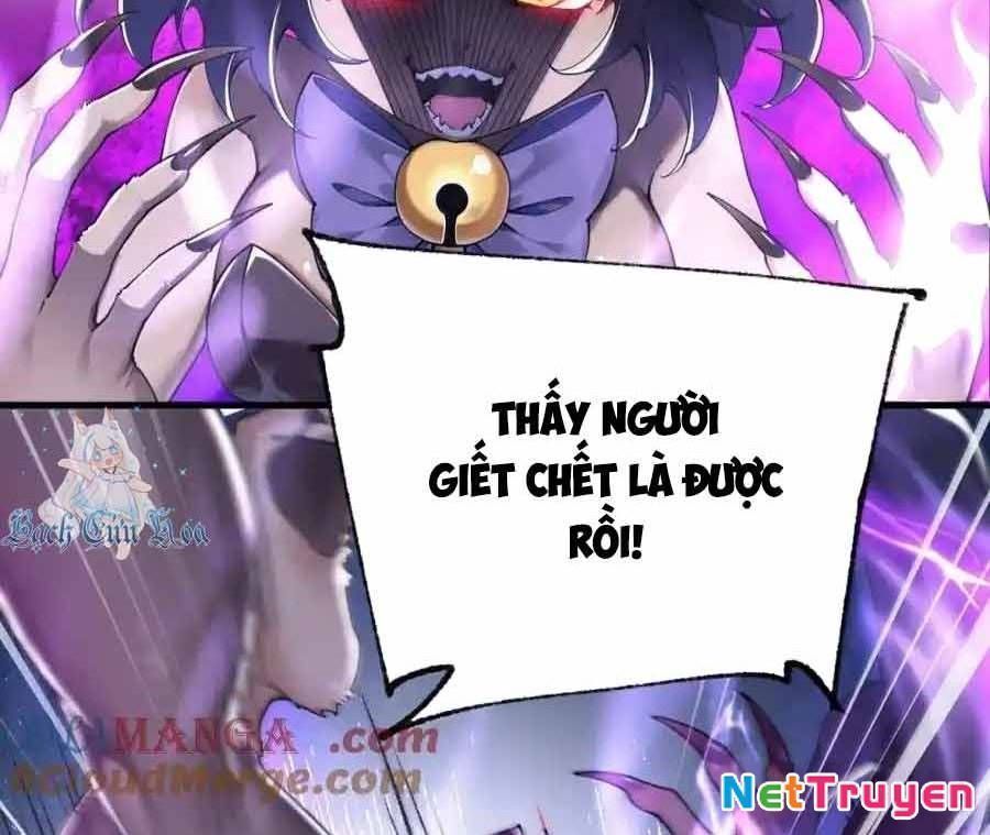Thánh nữ, xin hãy dừng ngay những trò quái đản của cô đi!!