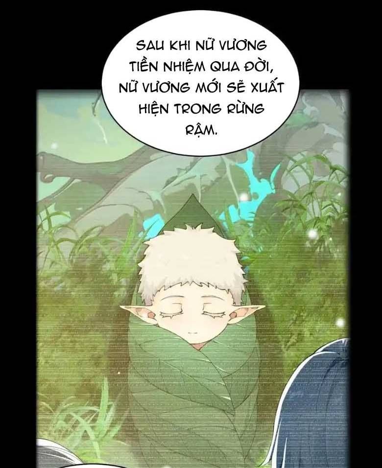 Thánh nữ, xin hãy dừng ngay những trò quái đản của cô đi!!
