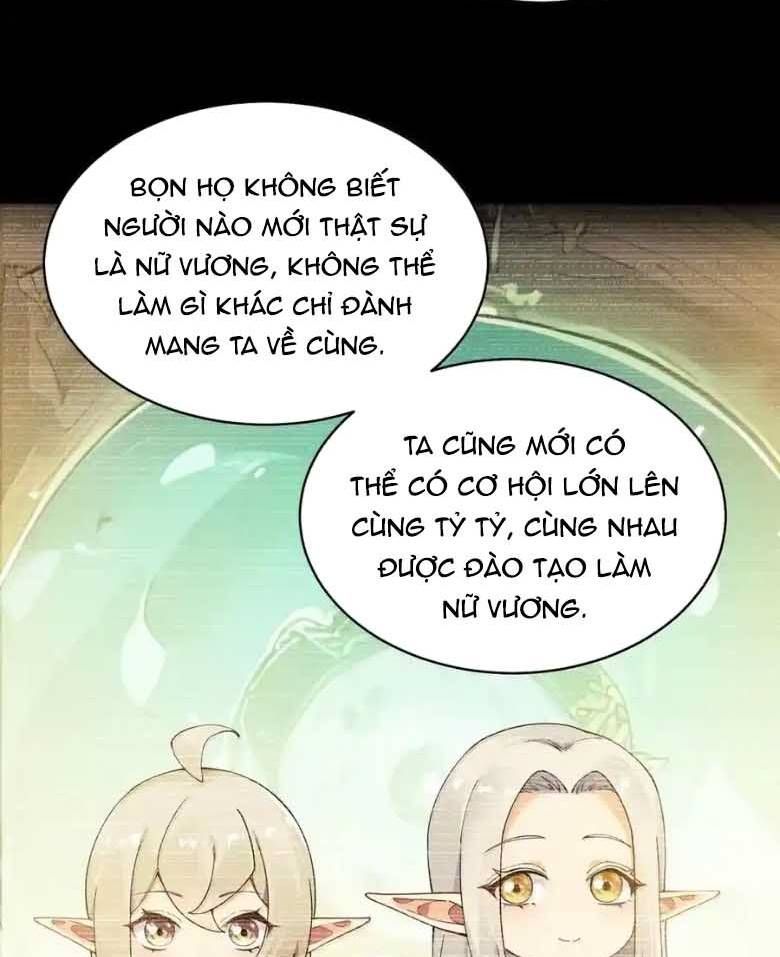 Thánh nữ, xin hãy dừng ngay những trò quái đản của cô đi!!