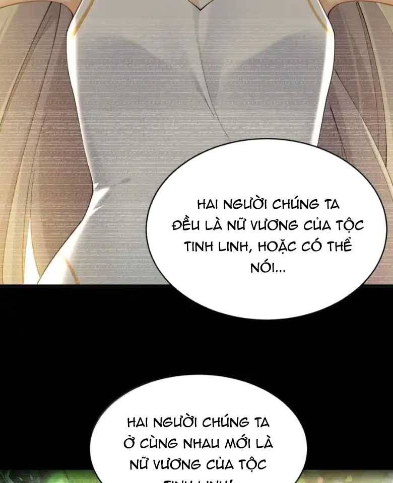 Thánh nữ, xin hãy dừng ngay những trò quái đản của cô đi!!