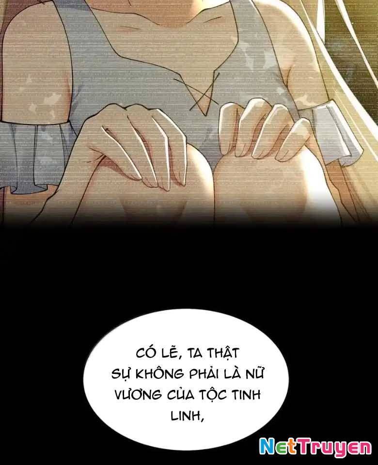 Thánh nữ, xin hãy dừng ngay những trò quái đản của cô đi!!
