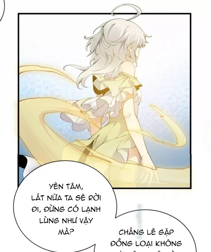 Thánh nữ, xin hãy dừng ngay những trò quái đản của cô đi!!