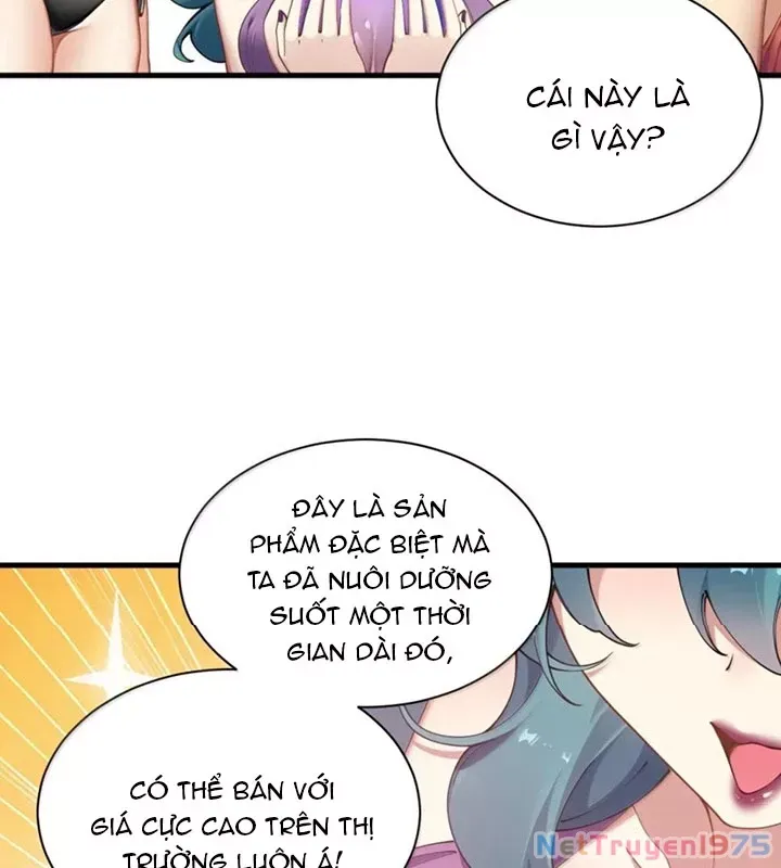 Thánh nữ, xin hãy dừng ngay những trò quái đản của cô đi!!