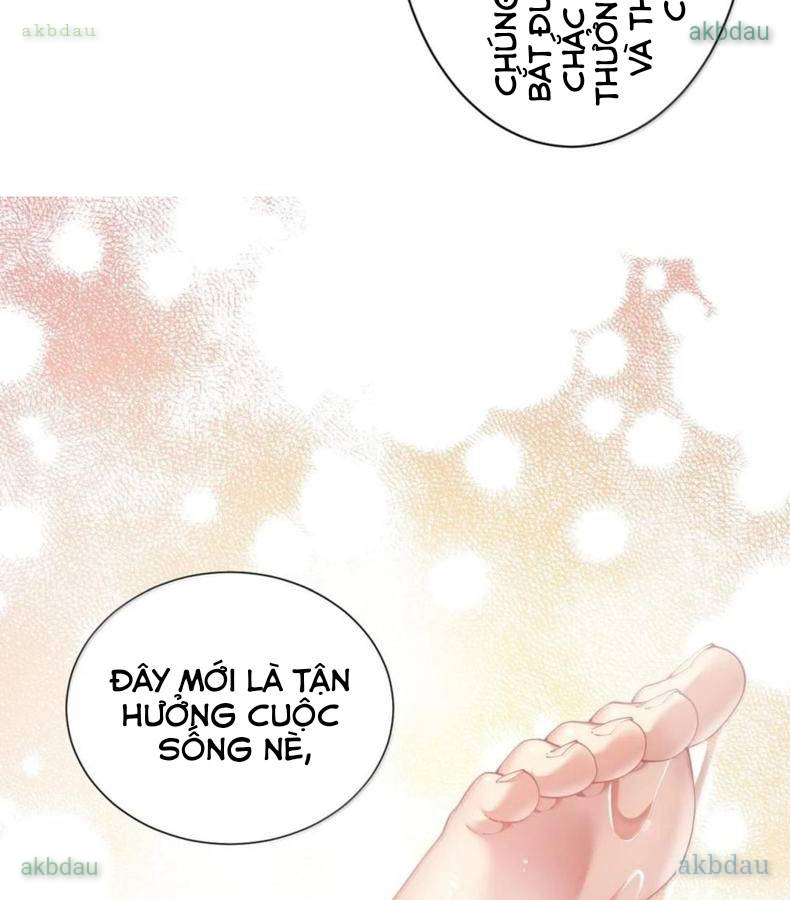 Thánh nữ, xin hãy dừng ngay những trò quái đản của cô đi!!
