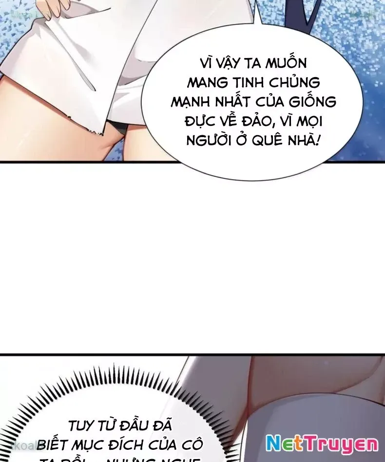 Thánh nữ, xin hãy dừng ngay những trò quái đản của cô đi!!