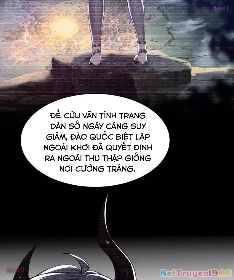 Thánh nữ, xin hãy dừng ngay những trò quái đản của cô đi!!
