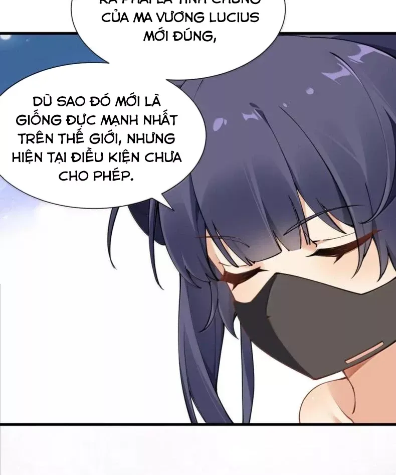 Thánh nữ, xin hãy dừng ngay những trò quái đản của cô đi!!