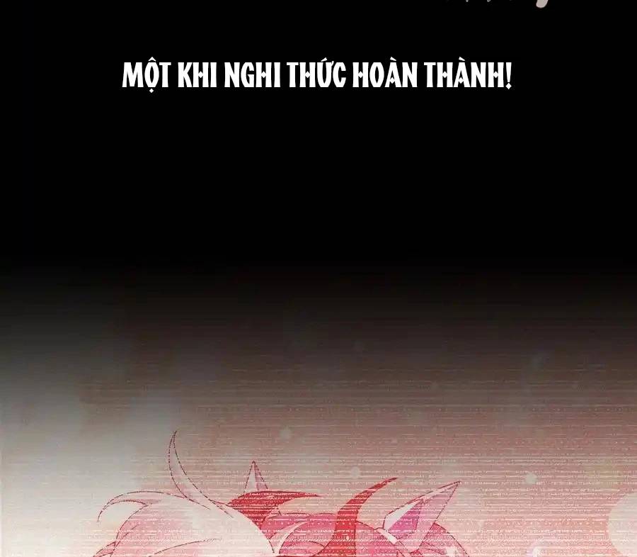 Thánh nữ, xin hãy dừng ngay những trò quái đản của cô đi!!