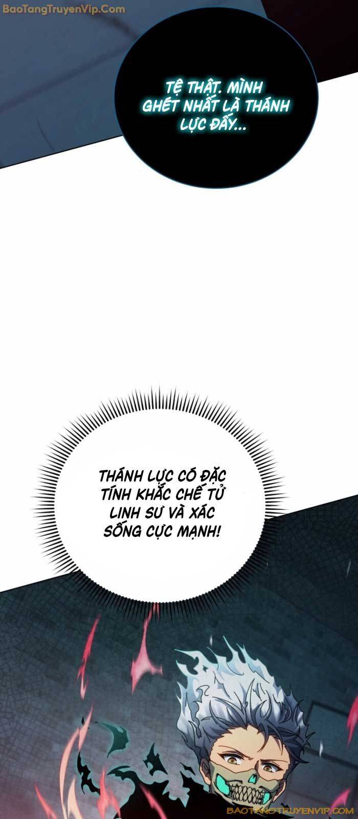 Tử linh sư thiên tài của học viện