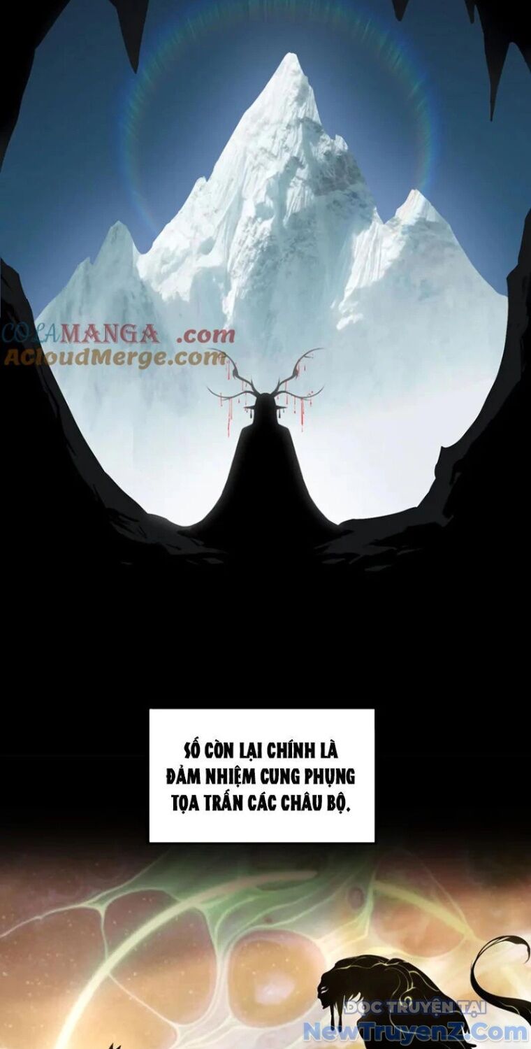 đại lộ vô danh