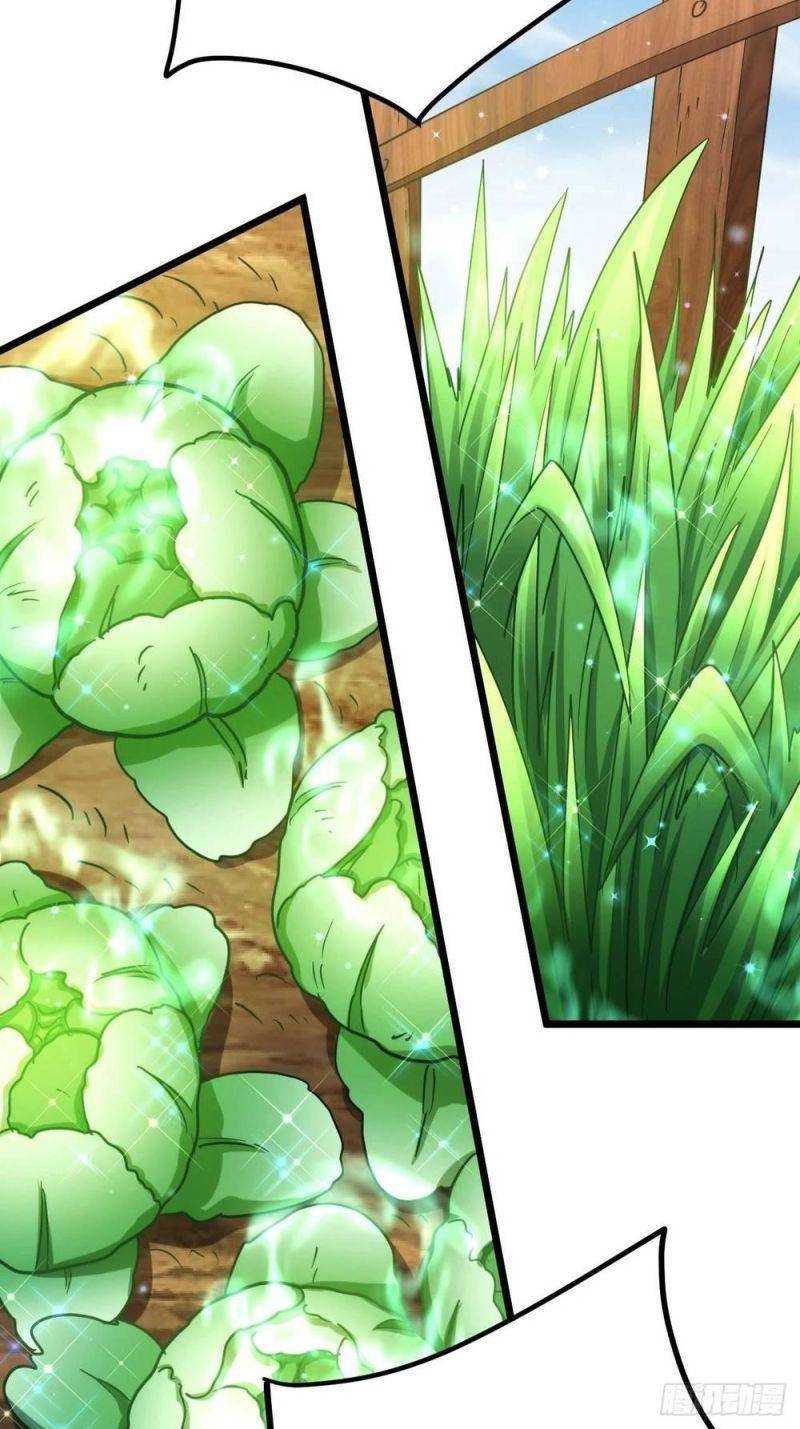 Ta thật sự không phải là cái thế cao nhân