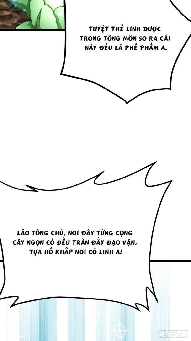Ta thật sự không phải là cái thế cao nhân
