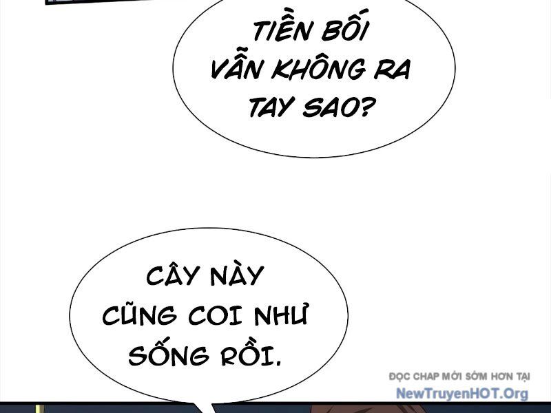 Ta thật sự không phải là cái thế cao nhân