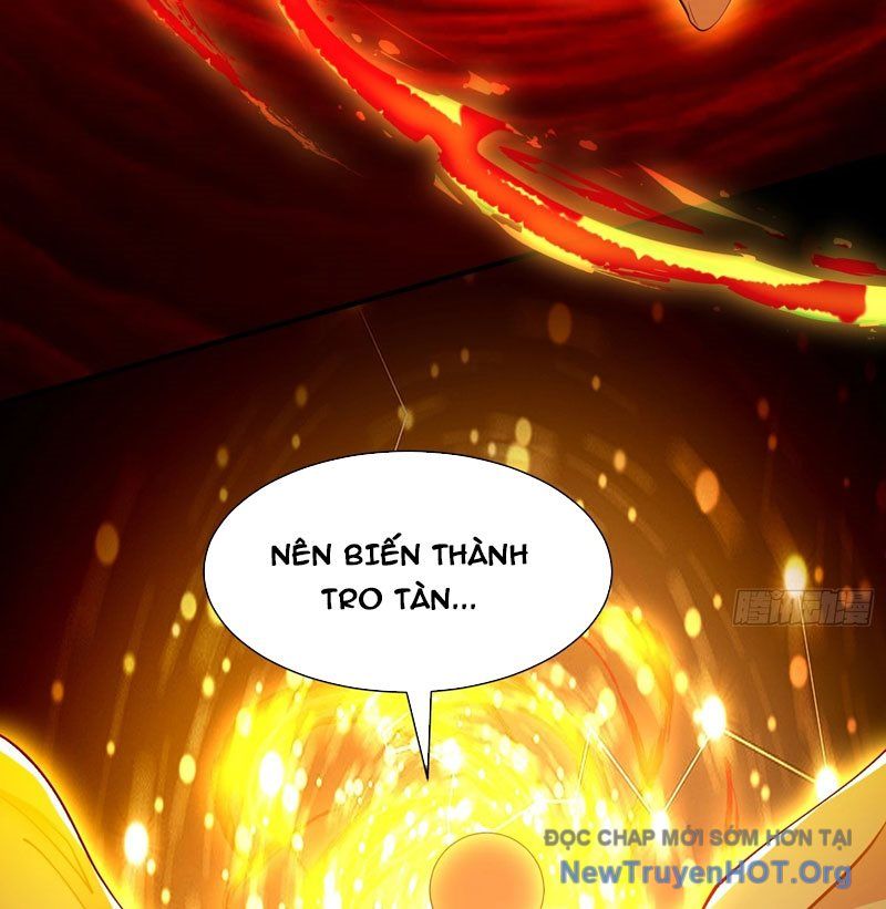Ta thật sự không phải là cái thế cao nhân