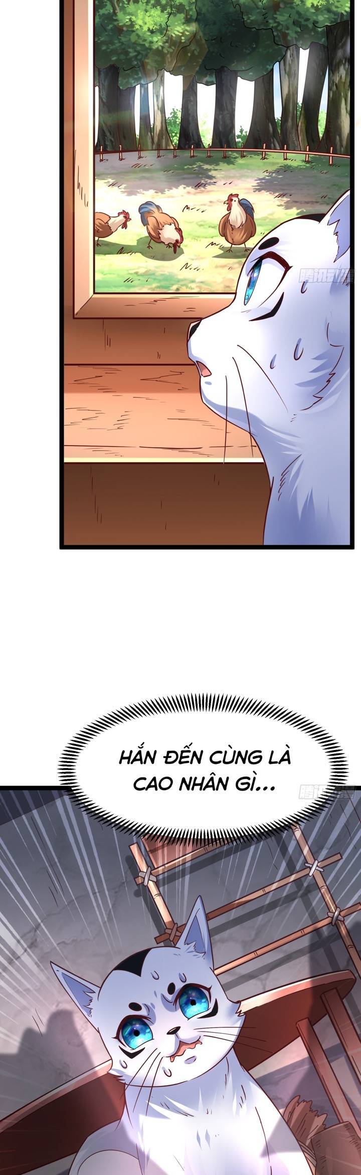 Ta thật sự không phải là cái thế cao nhân