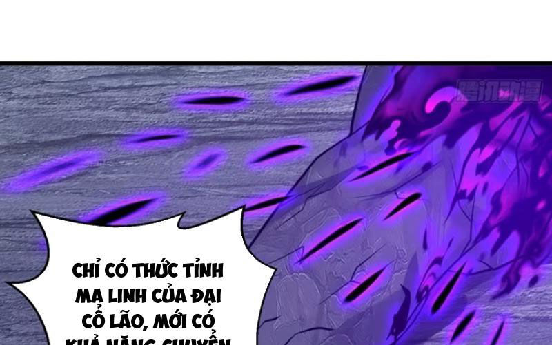 Ta vô địch từ ăn chực