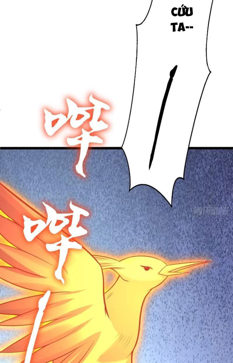 Ta vô địch từ ăn chực