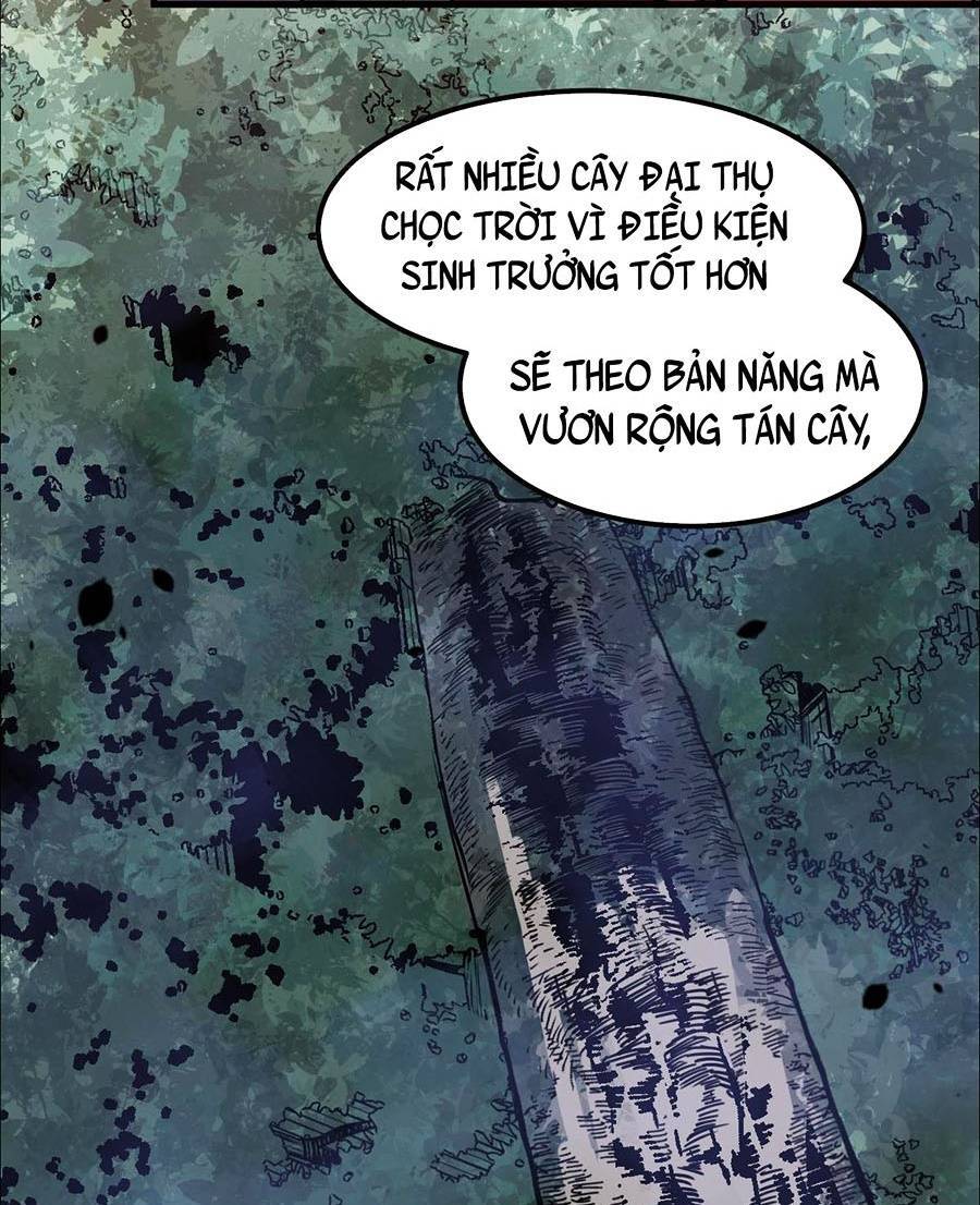 Siêu Phàm Tiến Hóa